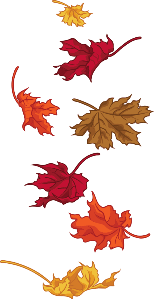 Winter, Spring, Summer or Fall/Autumn Seasons - Wiki