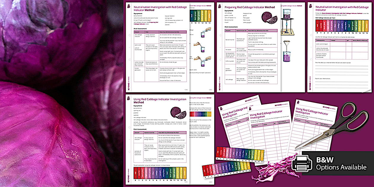 Red Cabbage Indicator Investigation (Science Lab) Beyond