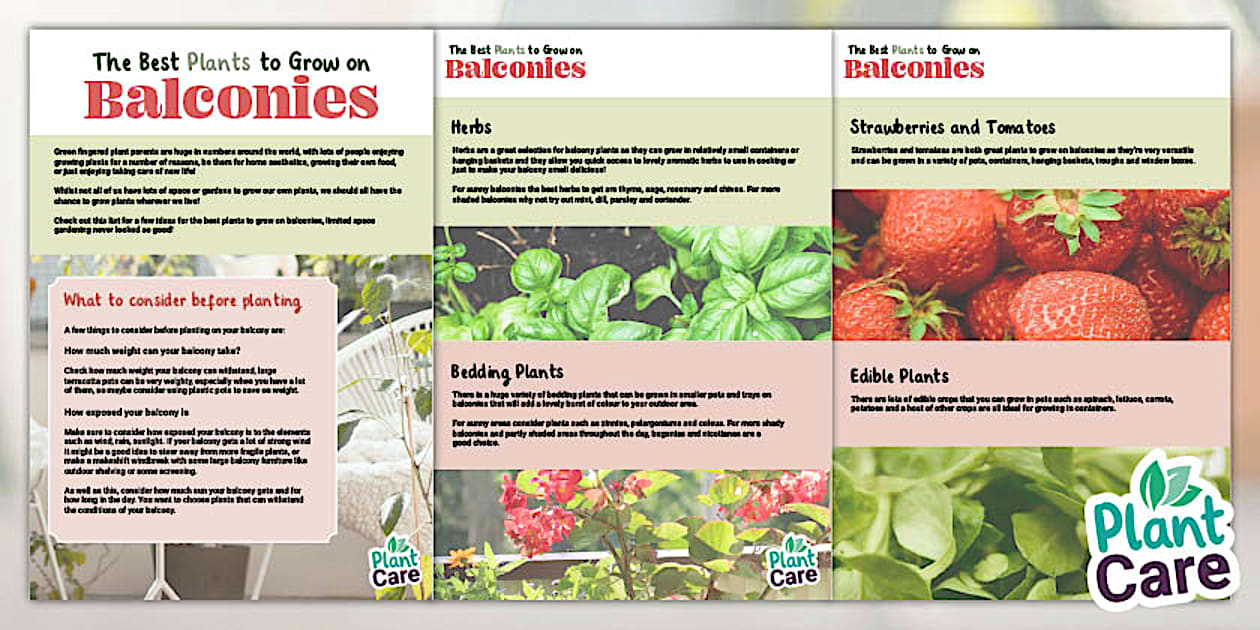 the-best-plants-to-grow-on-balconies-hecho-por-educadores