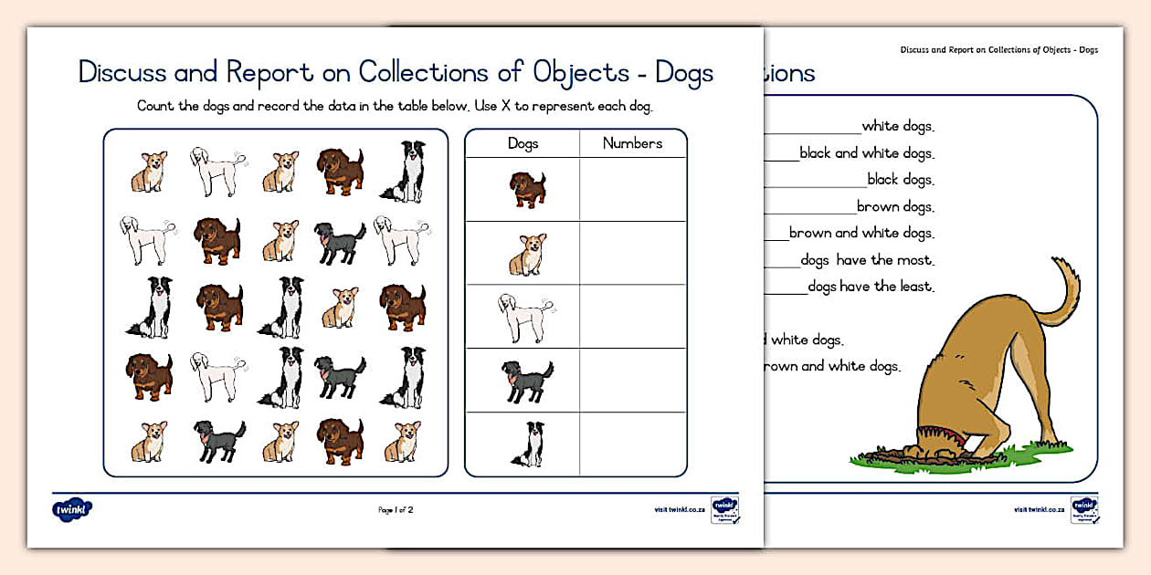 Discuss and Report on Collections of Objects Worksheet: Dogs