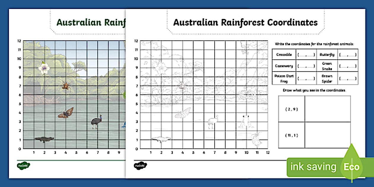 RAINFOREST COORD main image 0