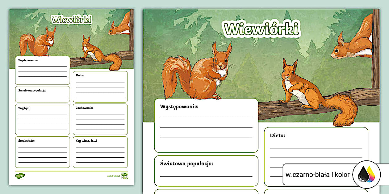 Wiewiórka | Uzupełnij kartę faktów | Zwierzęta jesienią