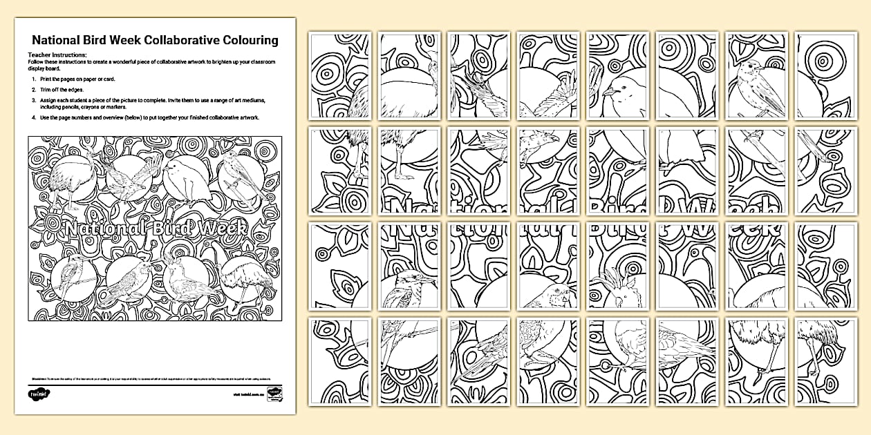 National Bird Week Collaborative Colouring (teacher made)