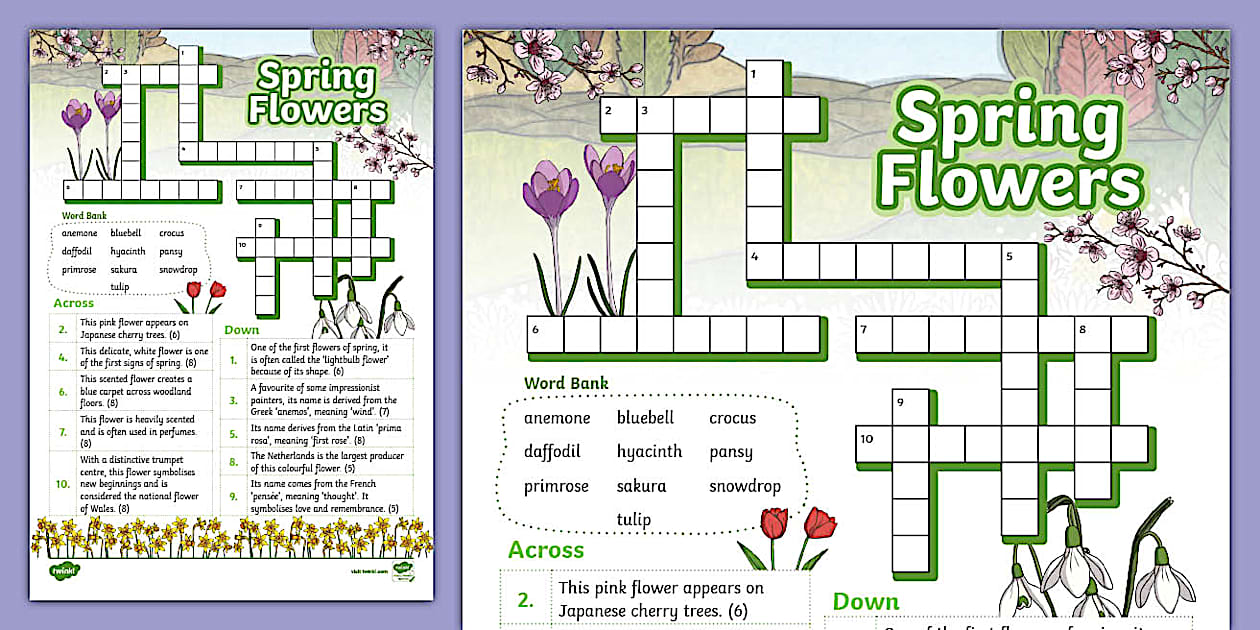 Spring Flowers Crossword Twinkl KS2 (Teacher Made)