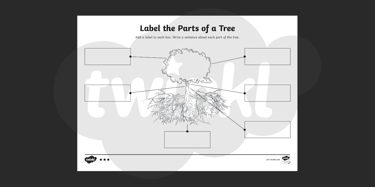 ☆tree☆ページ Diagram of a Tree with Labels -KS1 Differentiated Worksheets