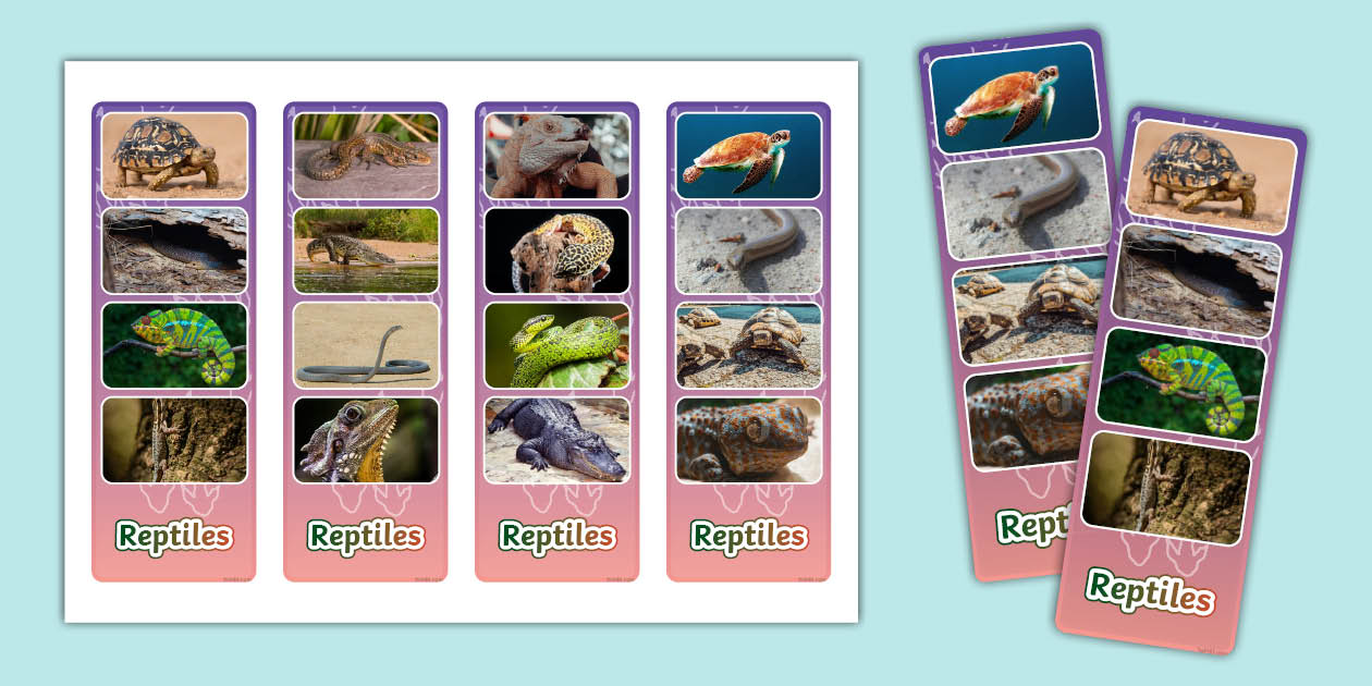 Reptile Photo Strip Bookmarks (Hecho por educadores)