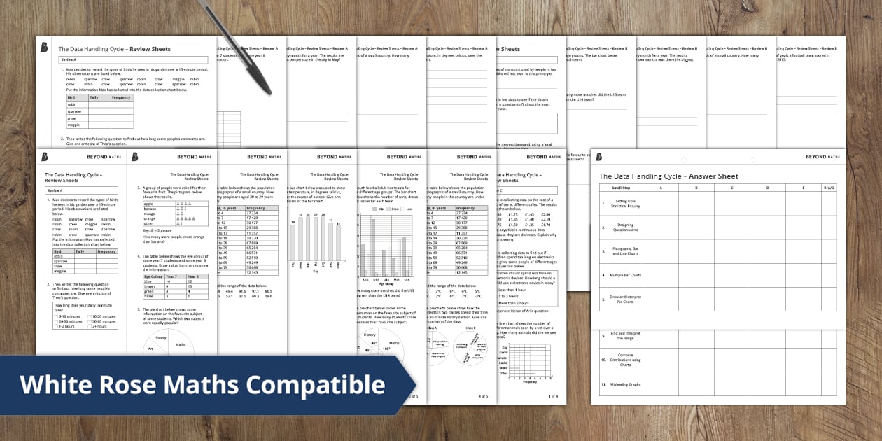 👉 The Data Handling Cycle Review Sheets (teacher made)