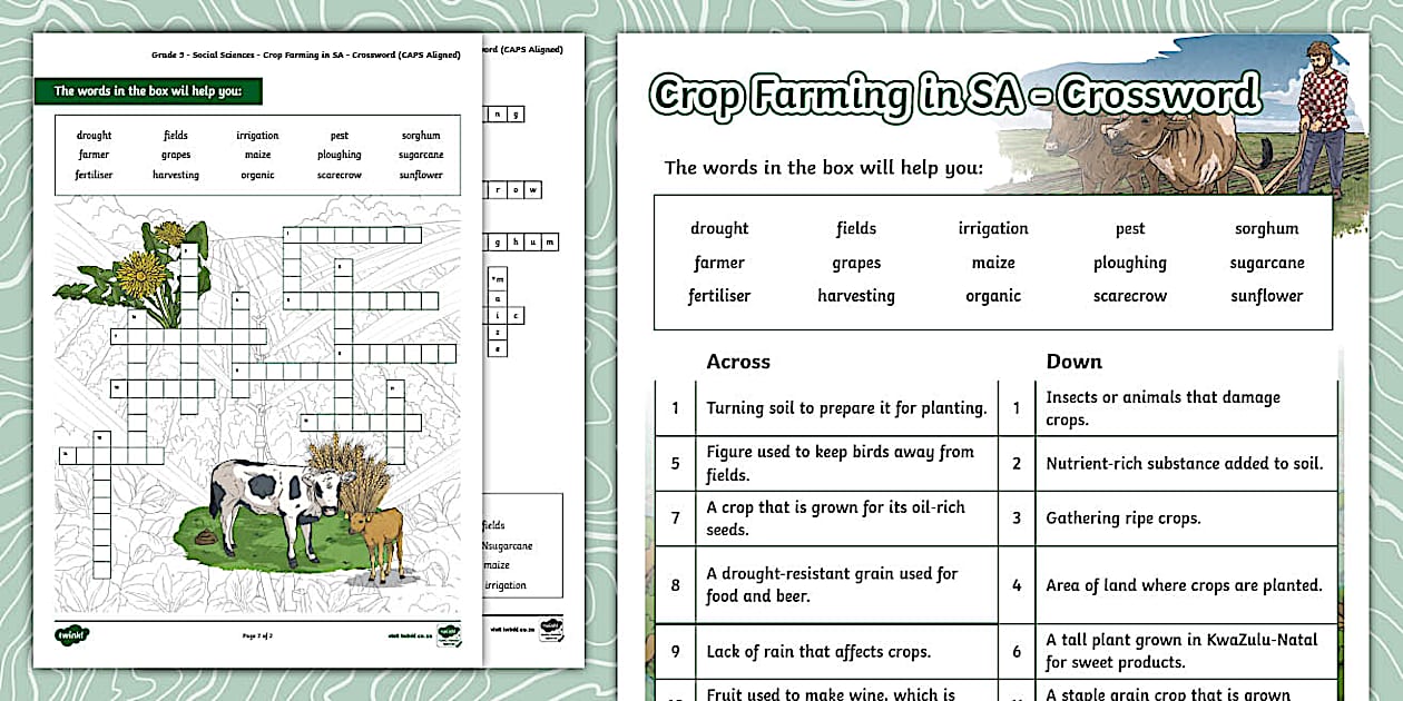 Crop Farming in South Africa Crossword Twinkl