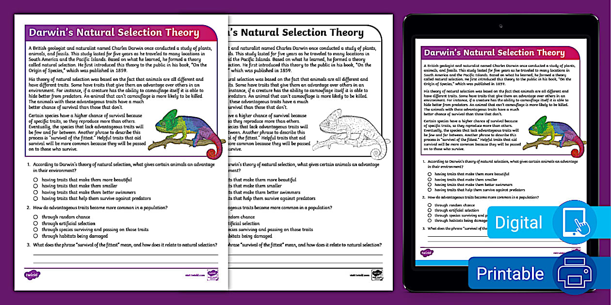 Darwin's Natural Selection Worksheet Twinkl USA Twinkl