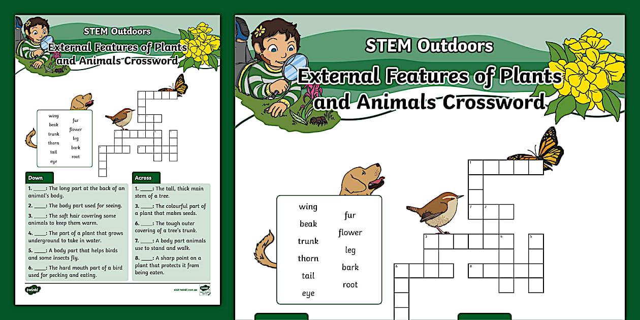 External Features of Plants and Animals Crossword Twinkl