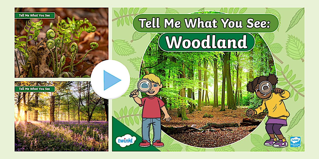 Tell Me What You See: Woodland PowerPoint | Twinkl - Twinkl