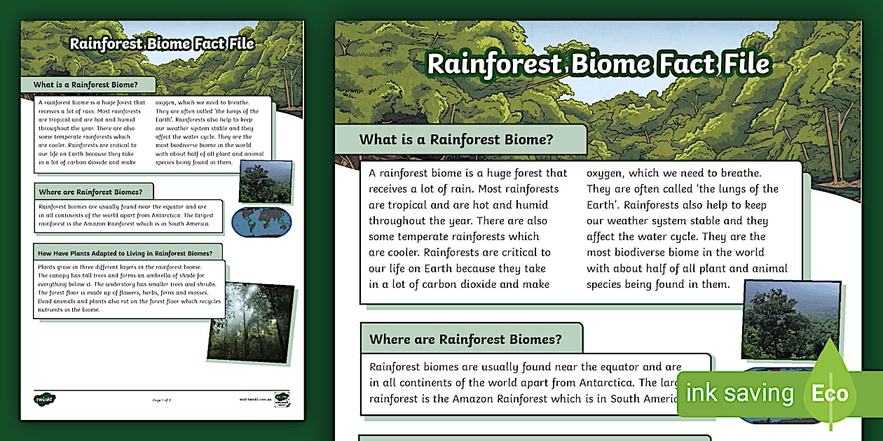 Rainforest Biome Fact File Environments And Adaptations Rainforest Biome Fact File Environments And Adaptations
