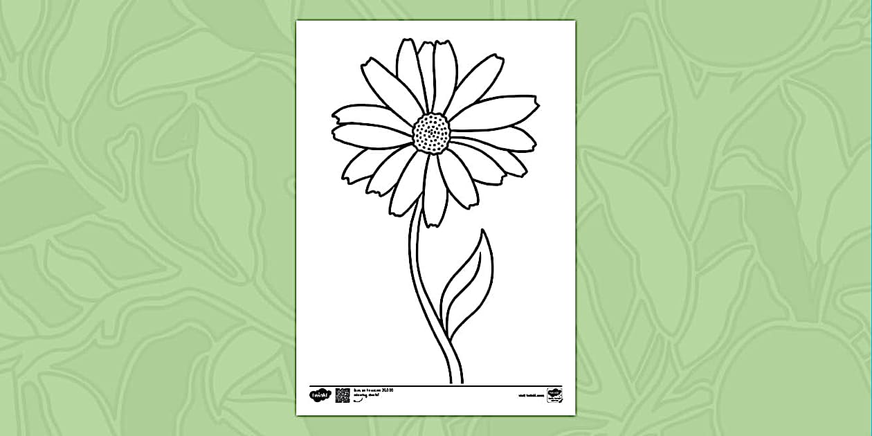 Printable Flower Template Colouring Page Resources