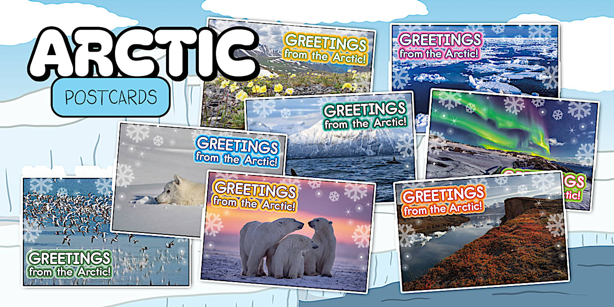 Arctic Postcard Templates