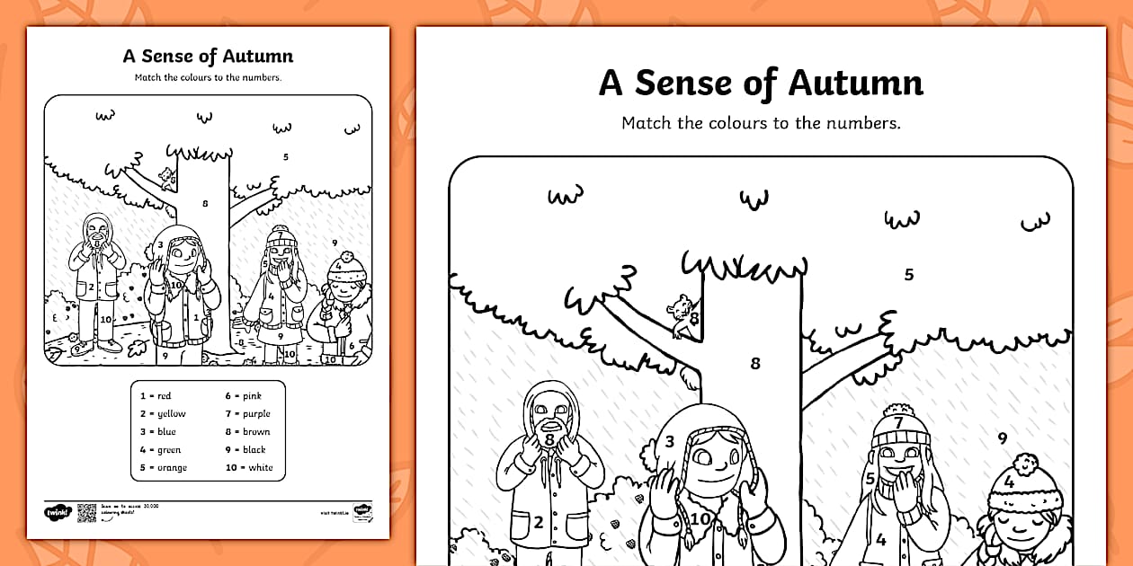 A Sense of Autumn Colour by Number Worksheet / Worksheet