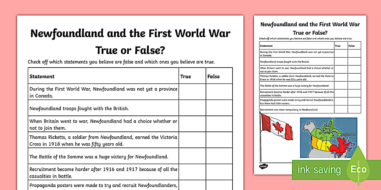 Newfoundland and the First World War True or False Activity