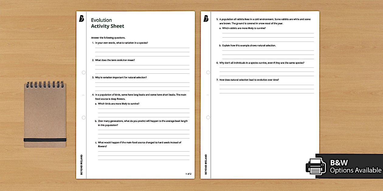 Evolution Activity Sheet