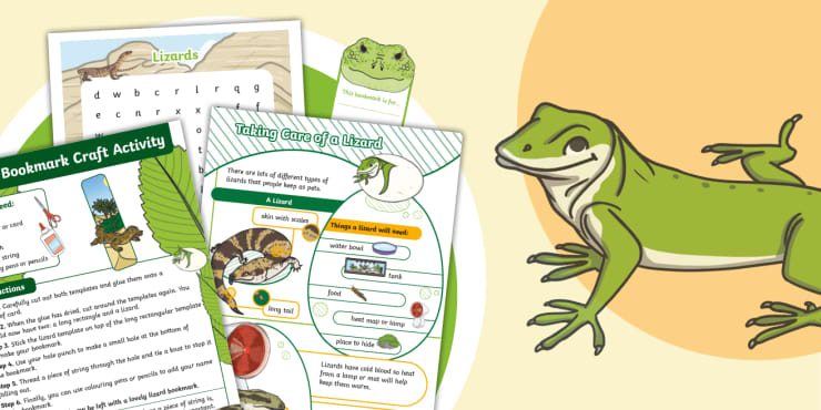 World Lizard Day Twinkl Teaching Calendar Twinkl