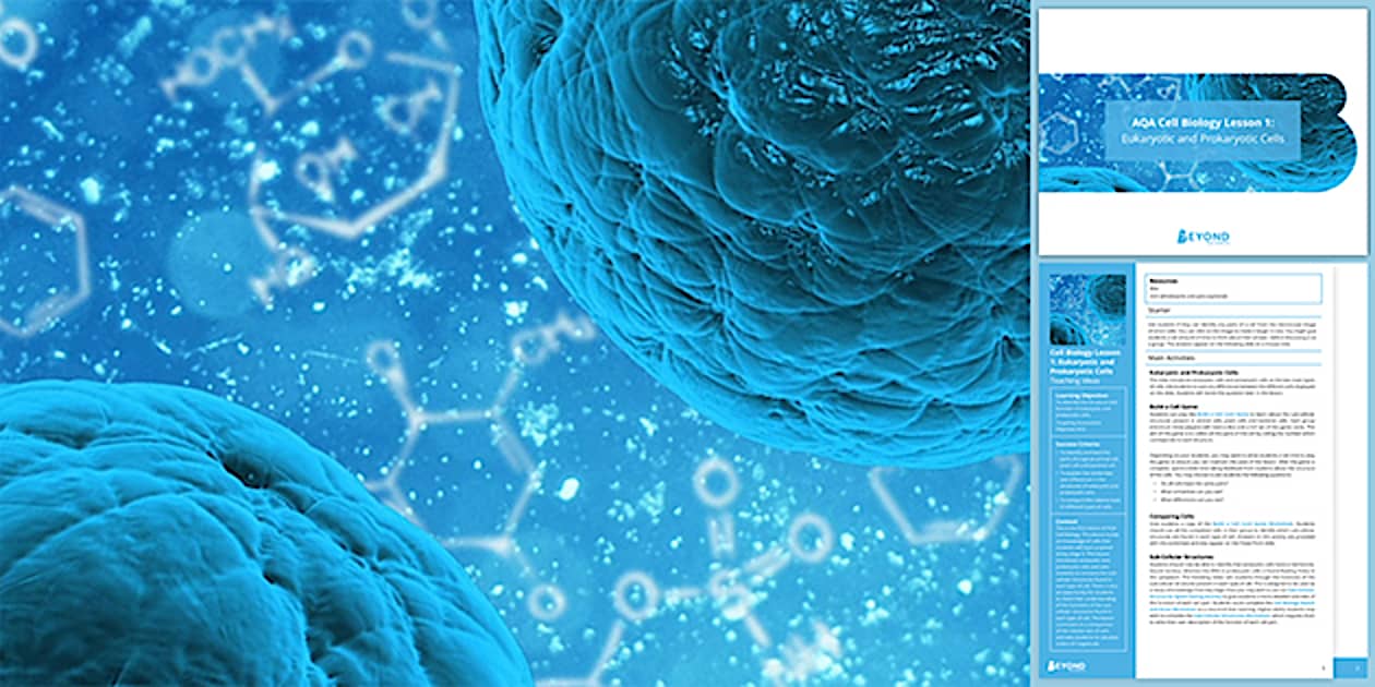 Eukaryotic and Prokaryotic Cells | Cell Biology | Beyond