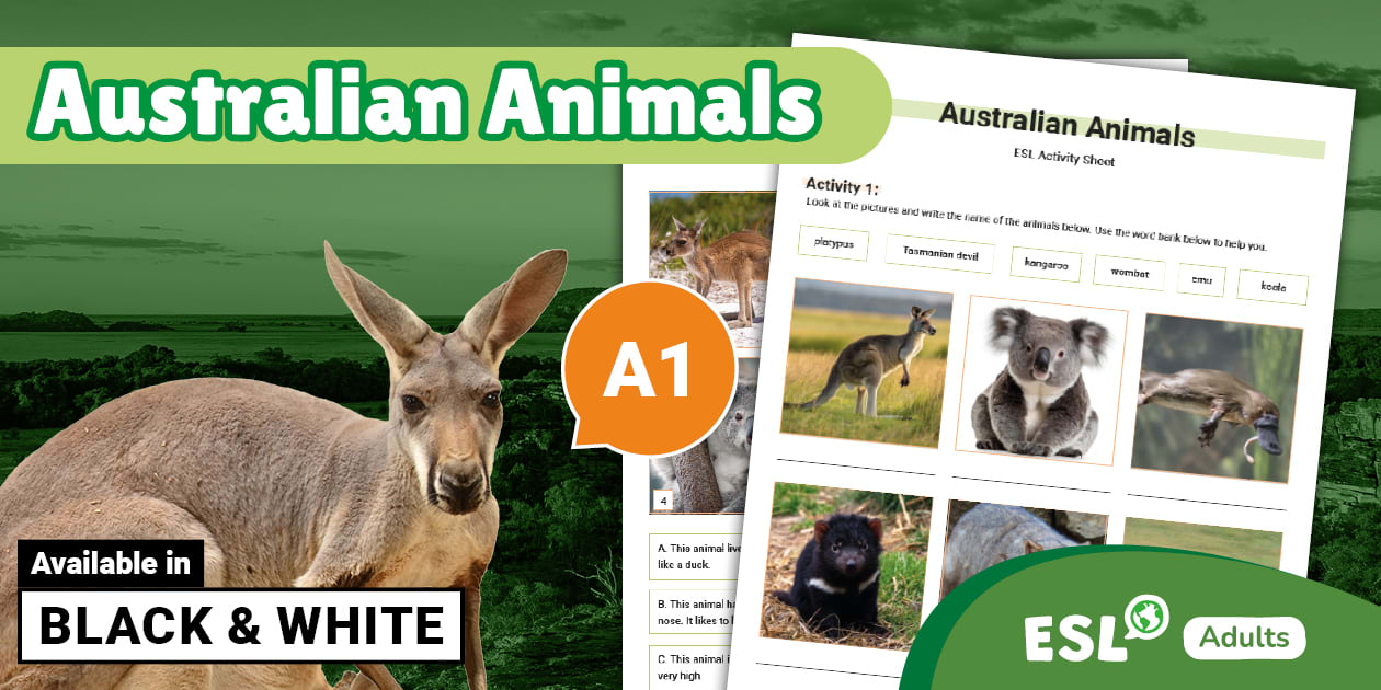 ESL Australian Animals Activity Sheet [Adults, A1]