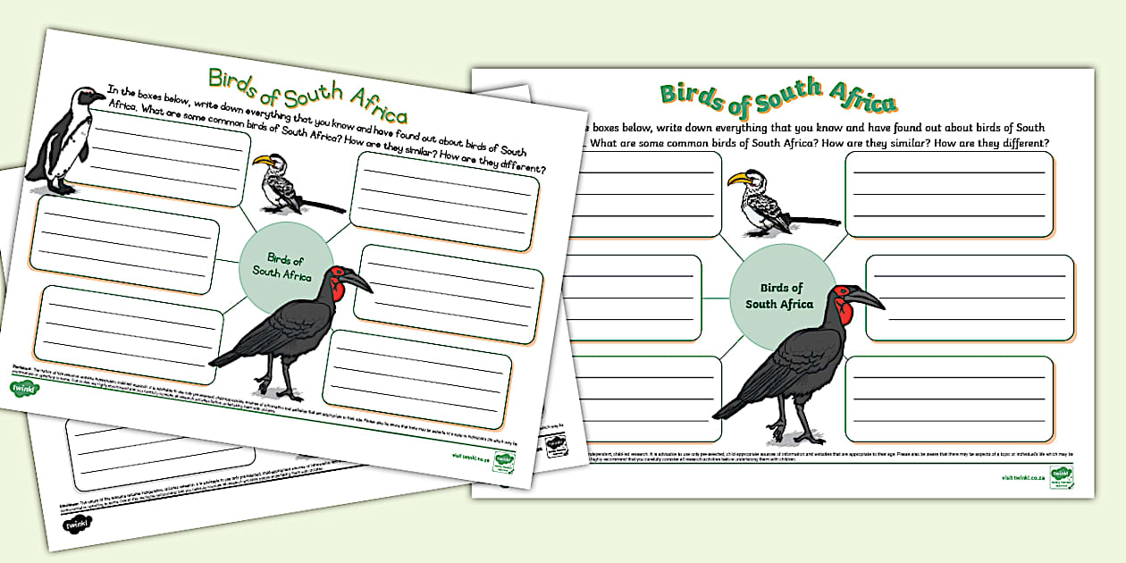 Birds of South Africa Mind Map (teacher made) - Twinkl