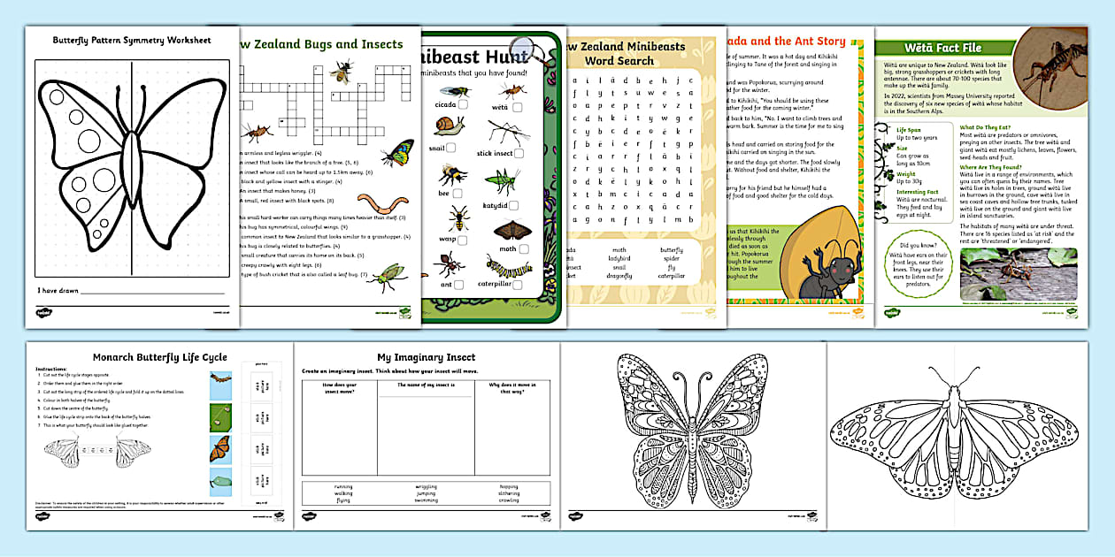 New Zealand Minibeasts Reliever's Activity Pack - Twinkl