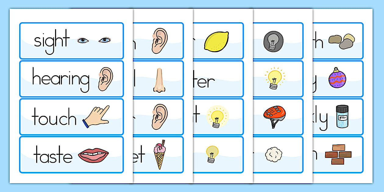 Senses Topic Word Cards (teacher made) - Twinkl