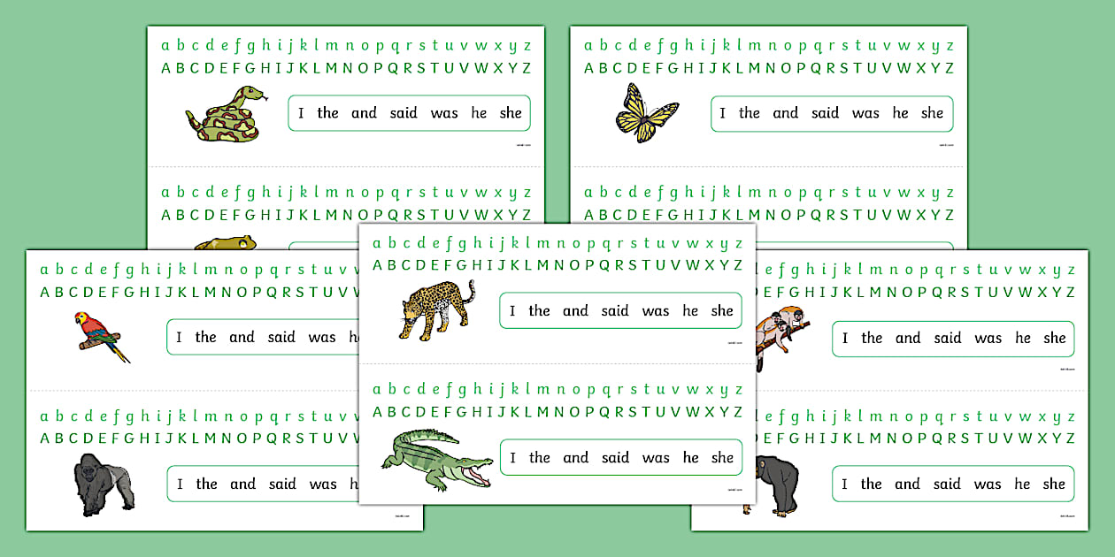Jungle and Rainforest Alphabet Strips (teacher made)