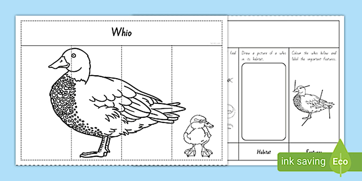 Whio Flap Book