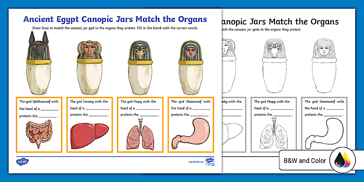 Ancient Egypt Canopic Jars: Match the Organs Worksheet