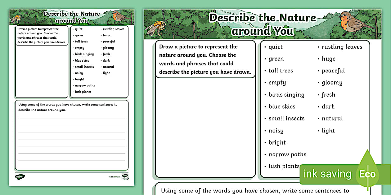 Describe the Nature around You Worksheet - Twinkl