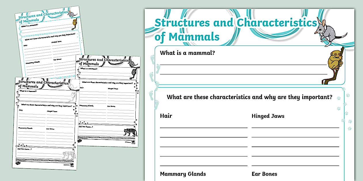 Structures and characteristics of mammals fact file template