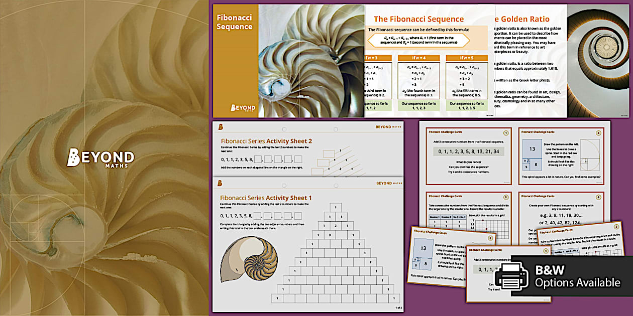 Fibonacci Numbers Activity Pack (teacher made) - Twinkl