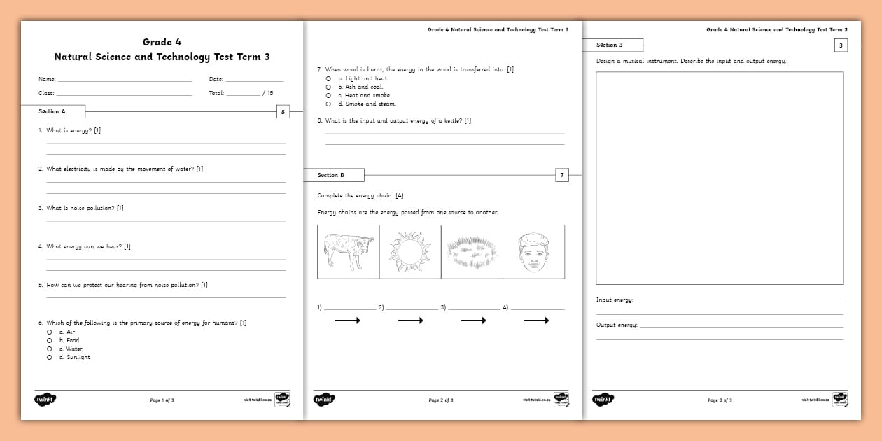 Natural Science and Technology Grade 4 term 3 test
