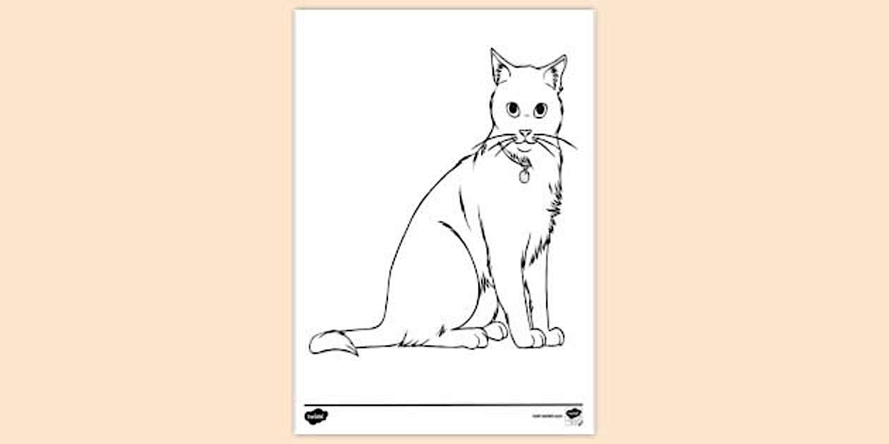 Cat Colouring | Colouring Sheets (teacher made) - Twinkl