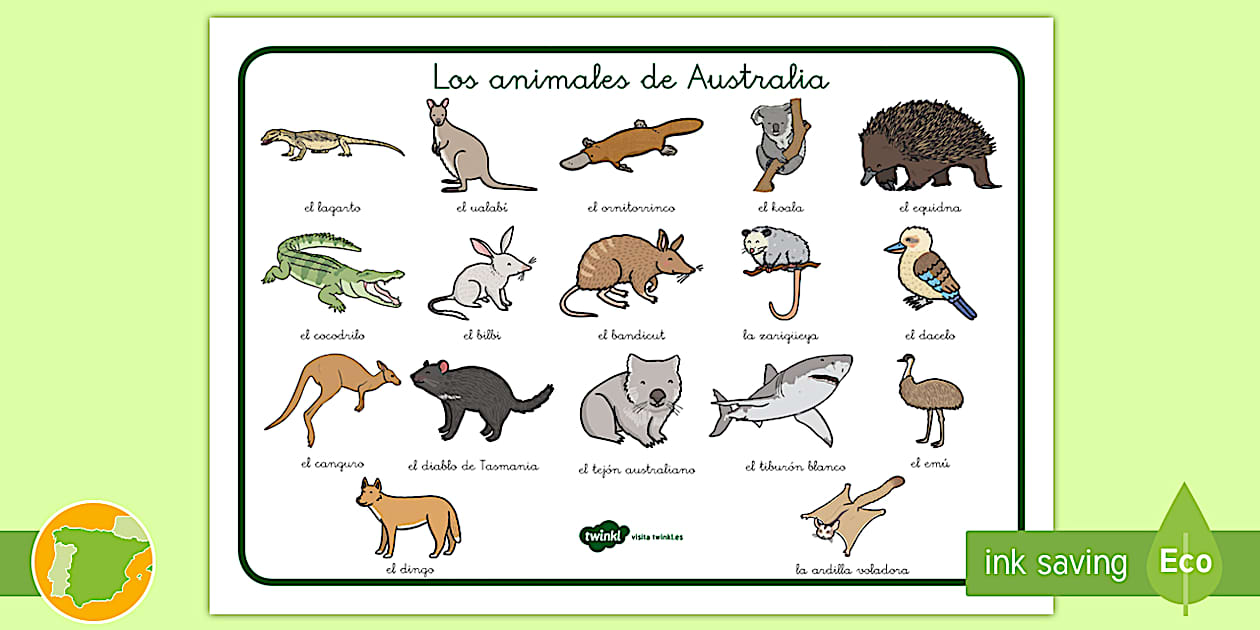 Tapiz de vocabulario: Los animales de Australia - Twinkl