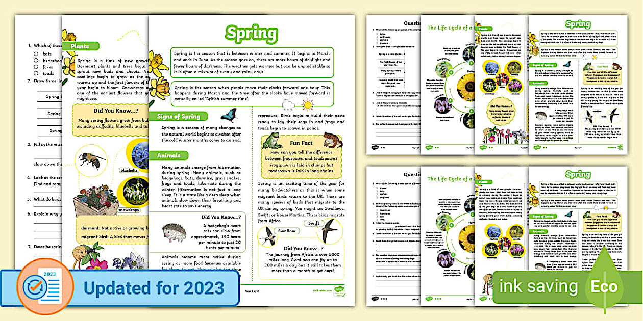 UKS2 Spring Differentiated Reading Comprehension Activity