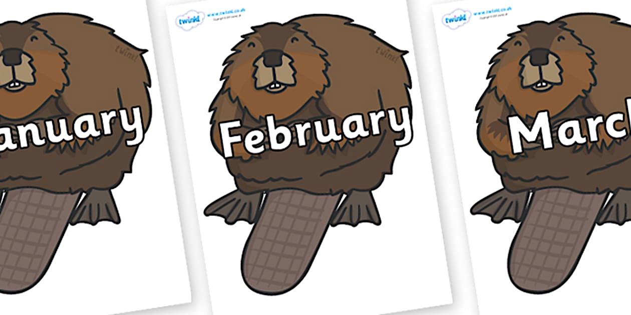 Beaver In Cursive Cursive Months of the Year on Beavers (Teacher-Made)