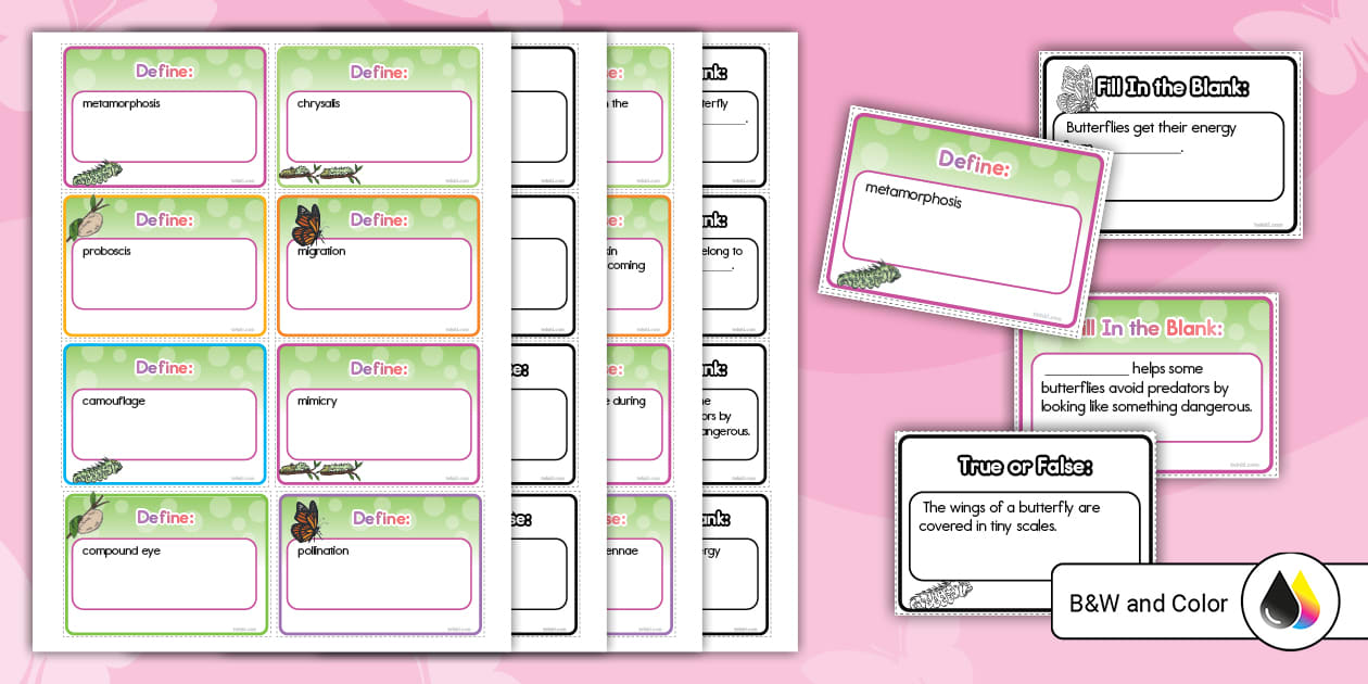 Butterfly Vocabulary and Facts Review Game for K-2nd Grade