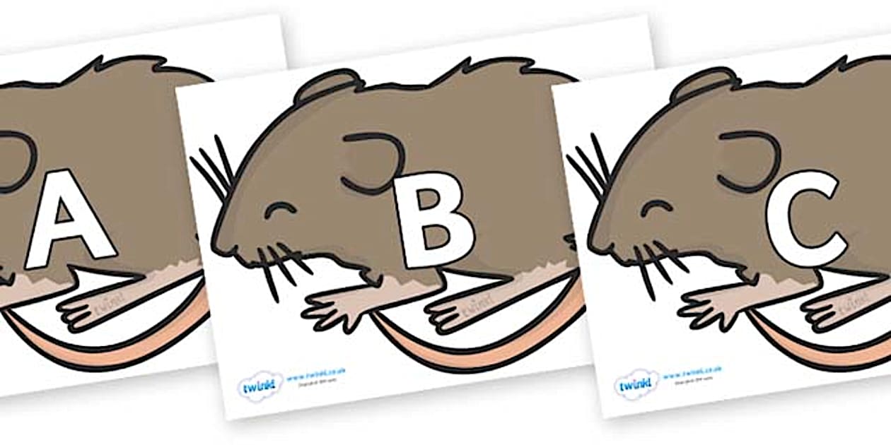 A-Z Alphabet on Mice