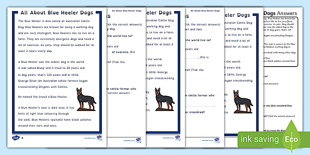Blue Heeler Dogs Dyslexia Reading Comprehension | Twinkl