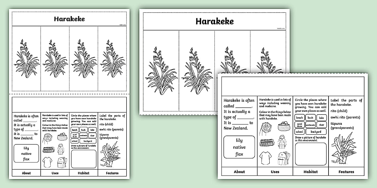 Harakeke Flap Book (teacher made) - Twinkl