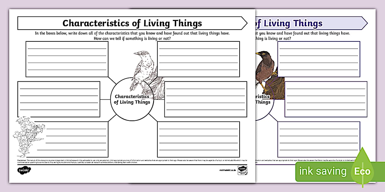 Characteristics of Living Things Mind Map