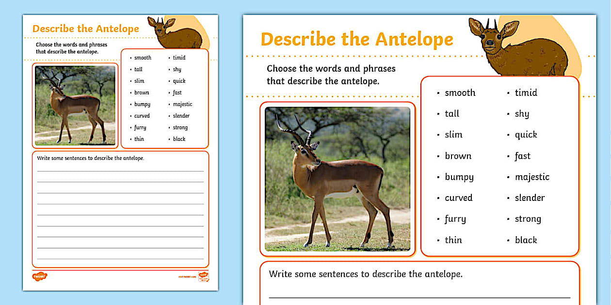 Describe the Antelope Worksheet (teacher made) - Twinkl