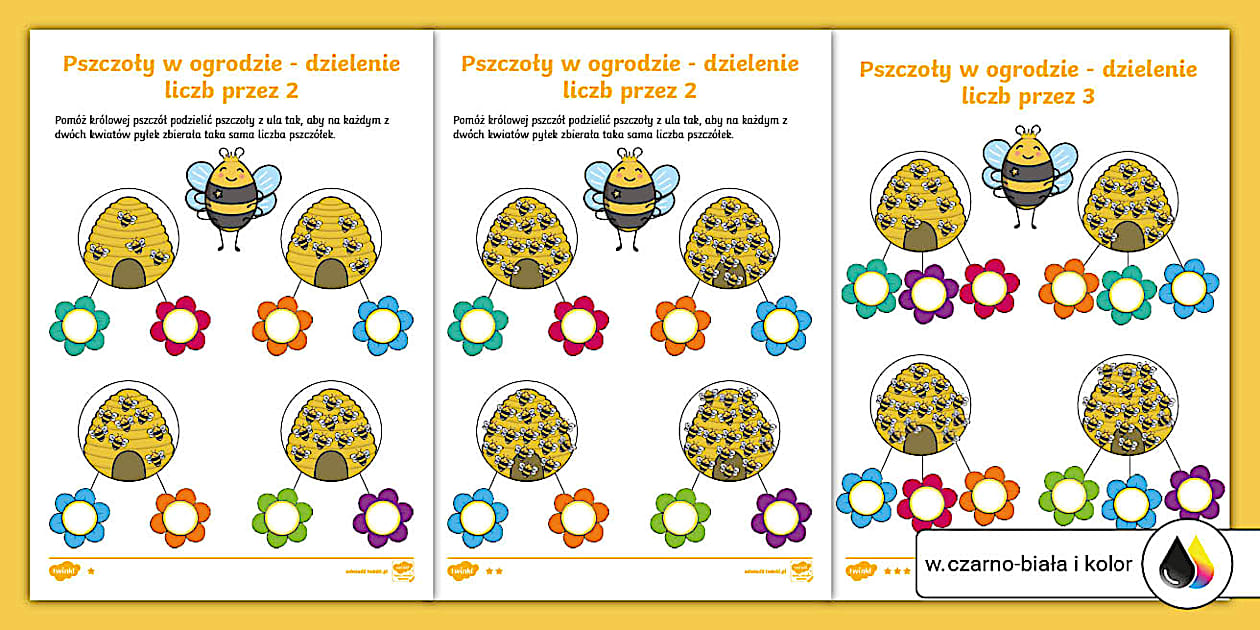 Pszczoły w ogrodzie | Dzielenie liczb przez 2 i 3 - Twinkl