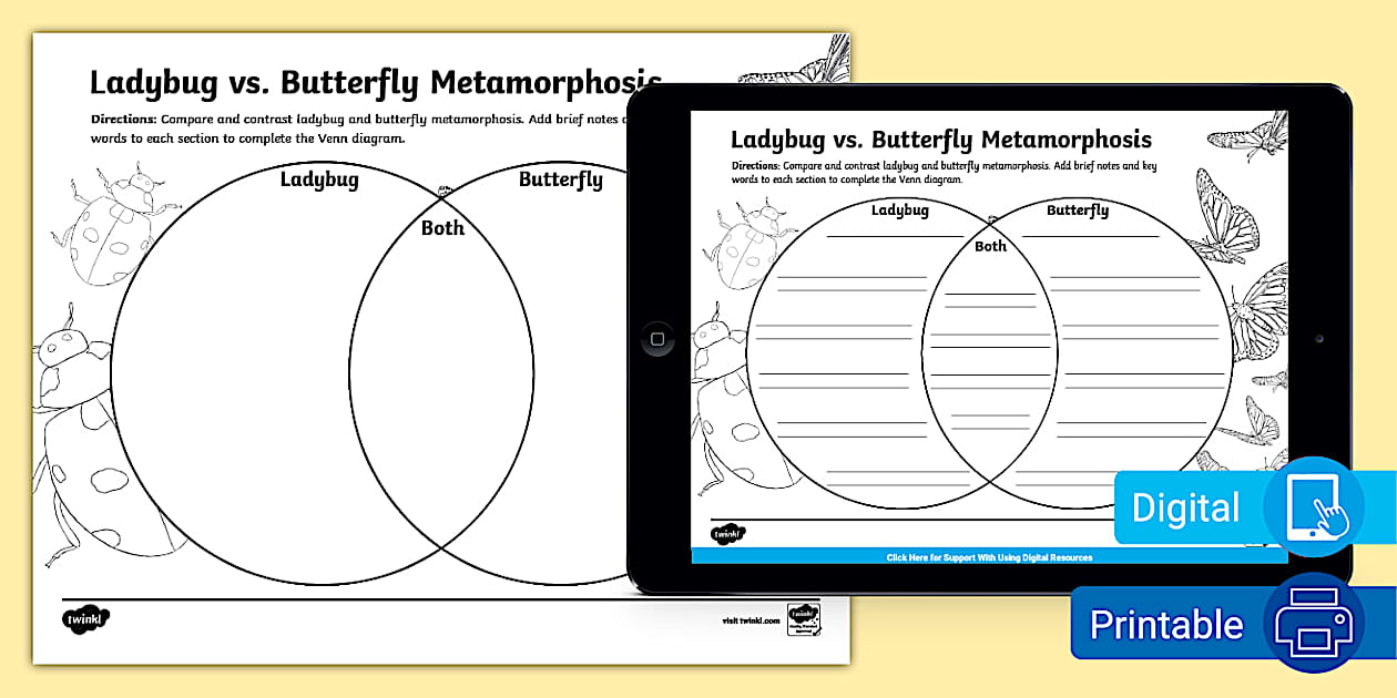 Ladybug vs. Butterfly Metamorphosis Compare and Contrast