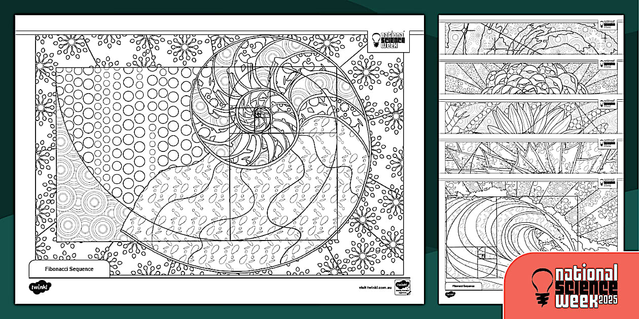 Fibonacci Sequence in Nature-Themed Colouring Pages - Twinkl