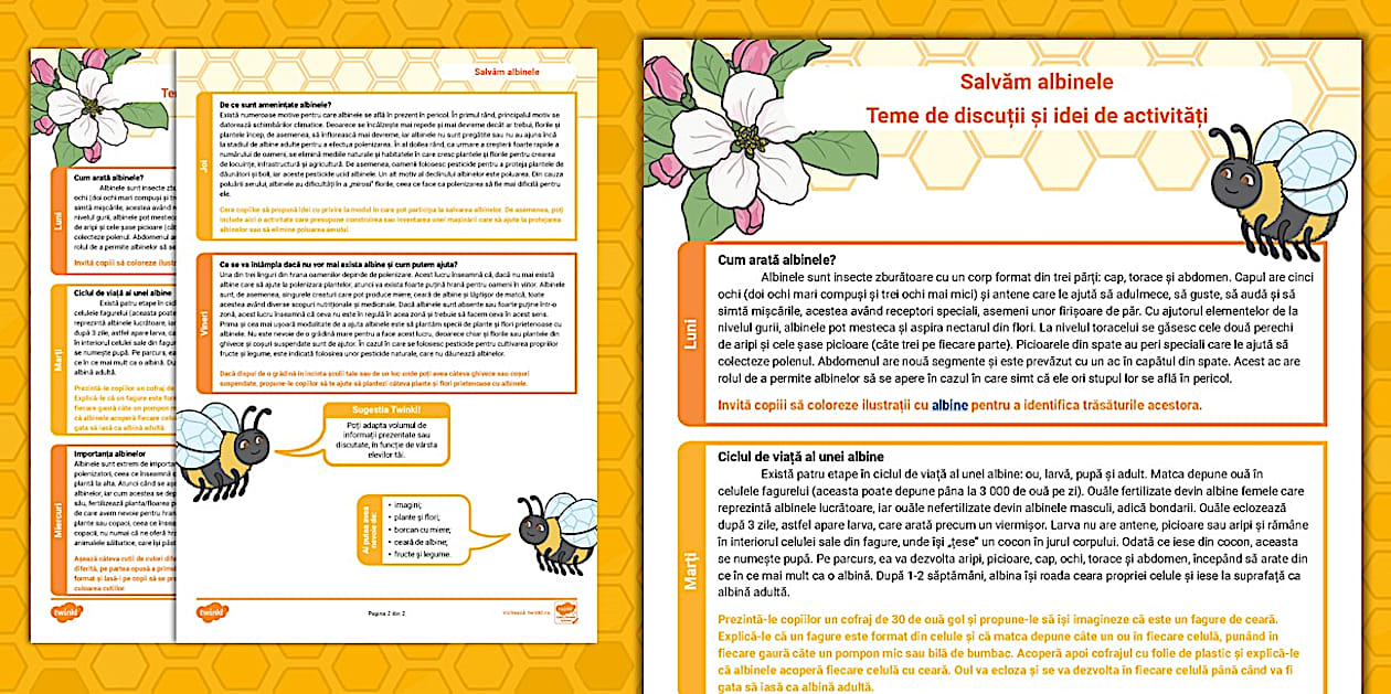 Teme Salvăm albinele – Teme de discuții și idei de activități