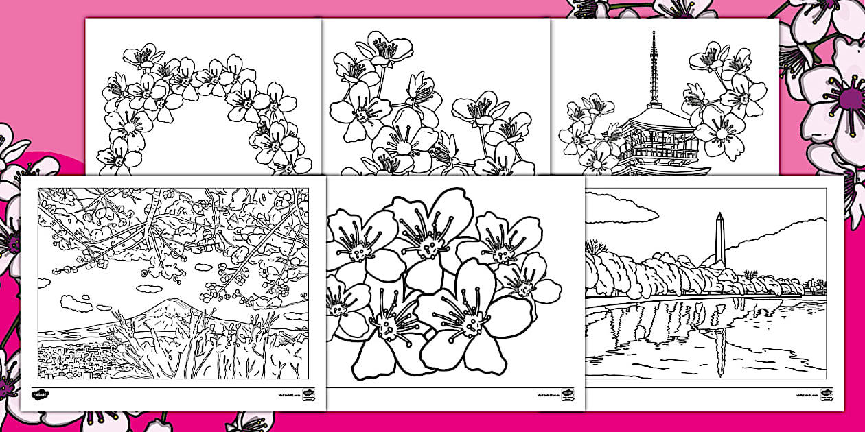 Cherry Blossom Coloring Sheet for Kids | Twinkl USA