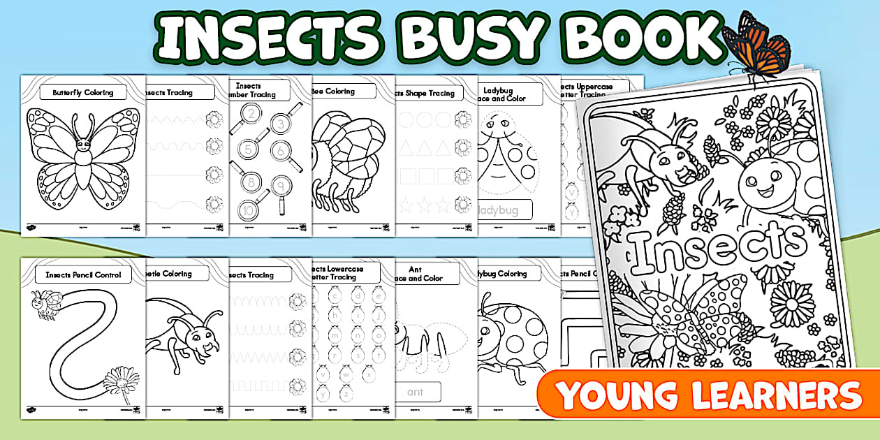 Insects Busy Book